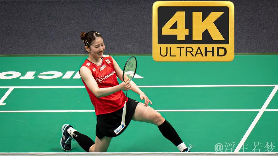 苏迪曼杯小组赛：日本对阵马来西亚第三场比赛