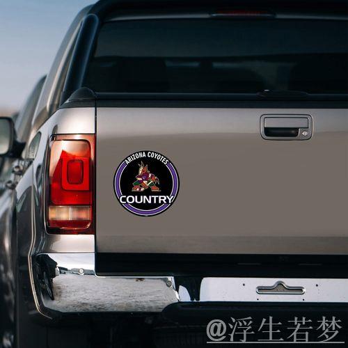 卡罗莱纳飓风队进入东部半决赛